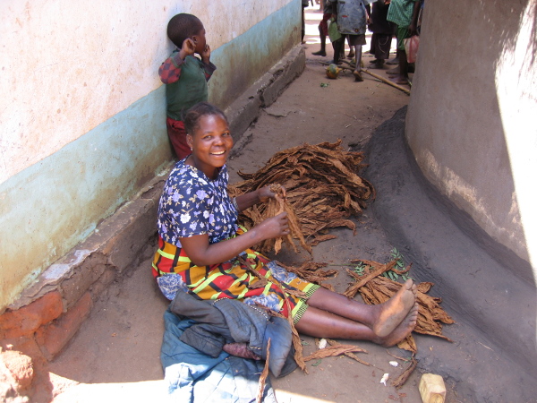 Sortieren von Burley-Tabak in Malawi